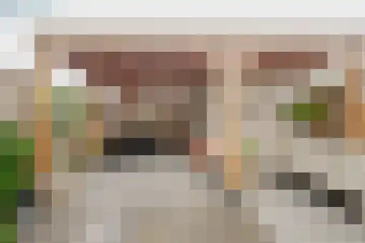 Amazonestraat 51 Spijkenisse thumbnail 4