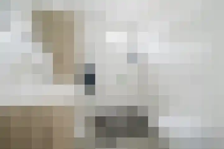Amazonestraat 51 Spijkenisse thumbnail 5