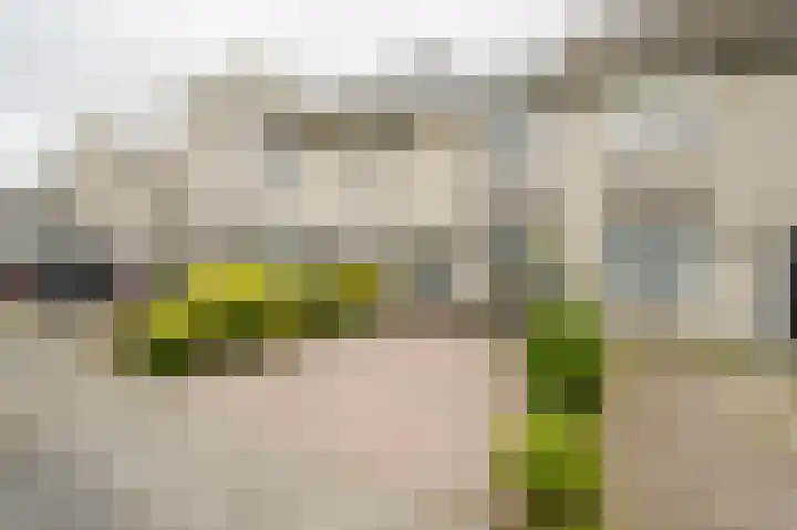 Amazonestraat 51 Spijkenisse thumbnail 6