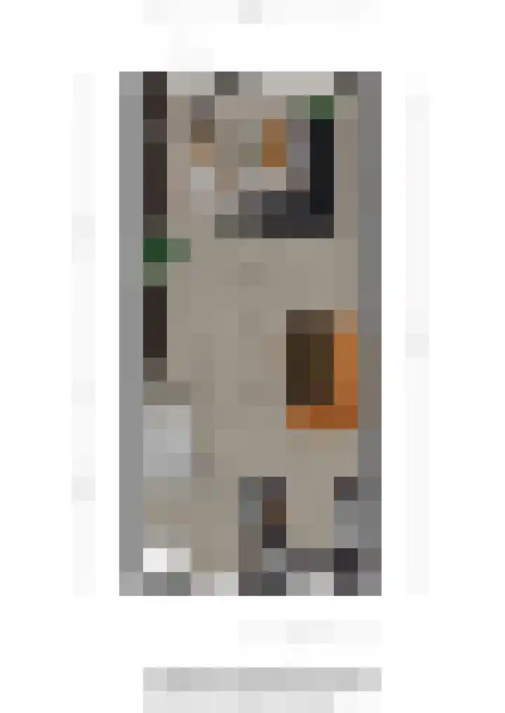 Amazonestraat 51 Spijkenisse thumbnail 7