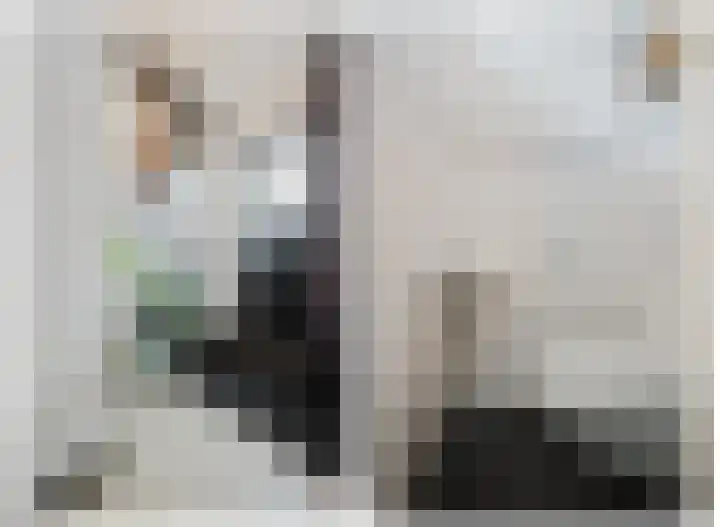 Amazonestraat 51 Spijkenisse thumbnail 8