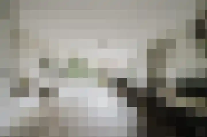 Amazonestraat 51 Spijkenisse thumbnail 9