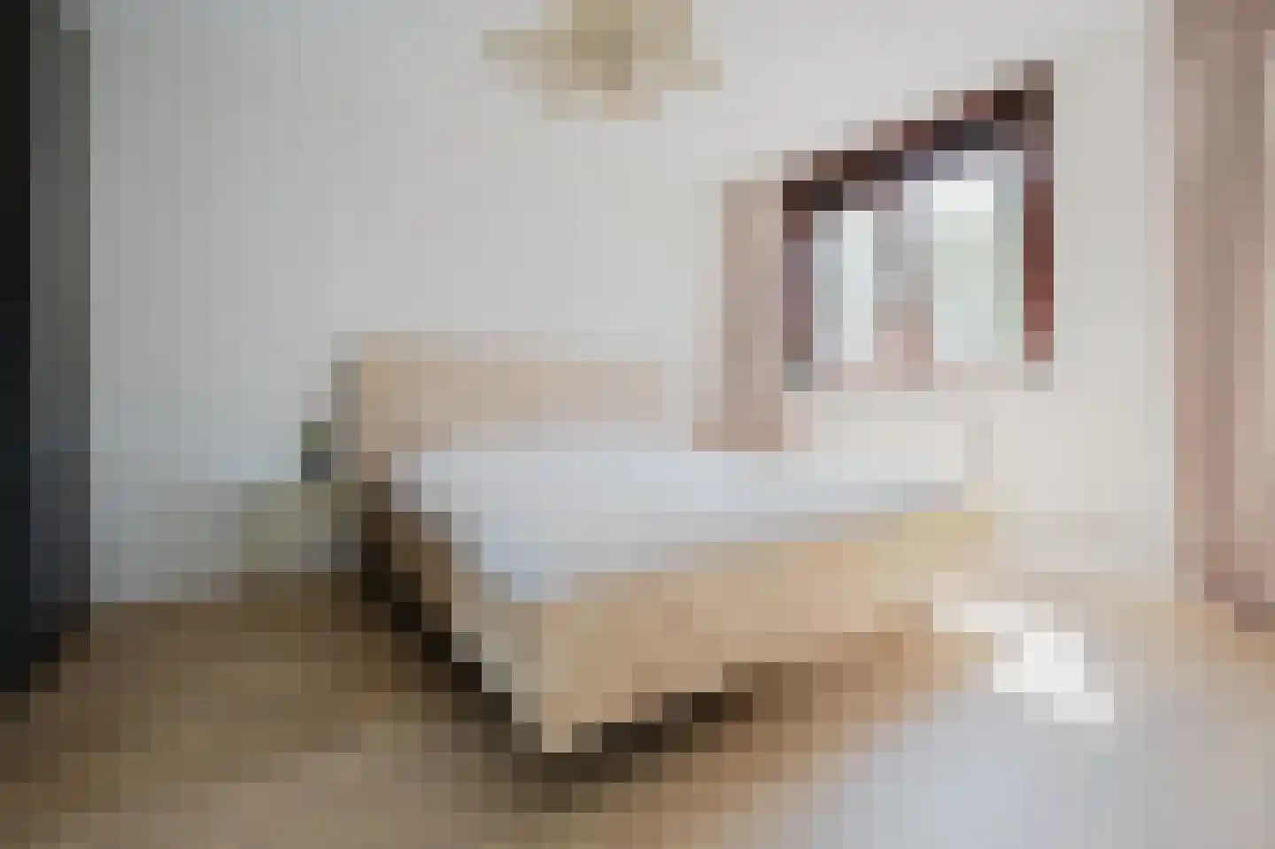 Amazonestraat 55 Spijkenisse thumbnail 29
