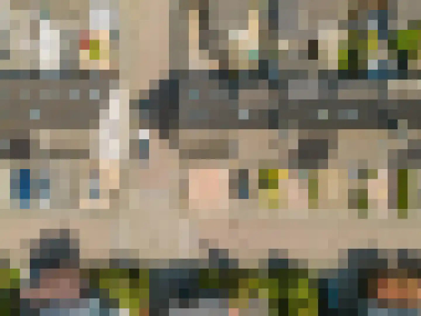 Amazonestraat 55 Spijkenisse thumbnail 7