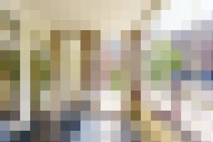 Amazonestroom 10 Zoetermeer thumbnail 16