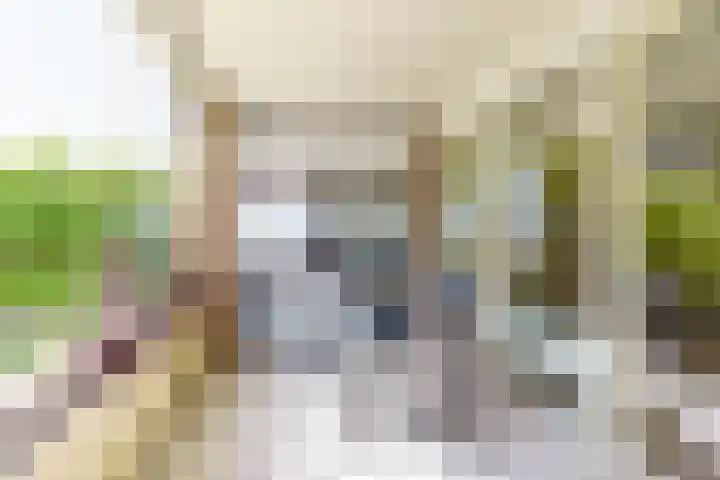 Amazonestroom 10 Zoetermeer thumbnail 17