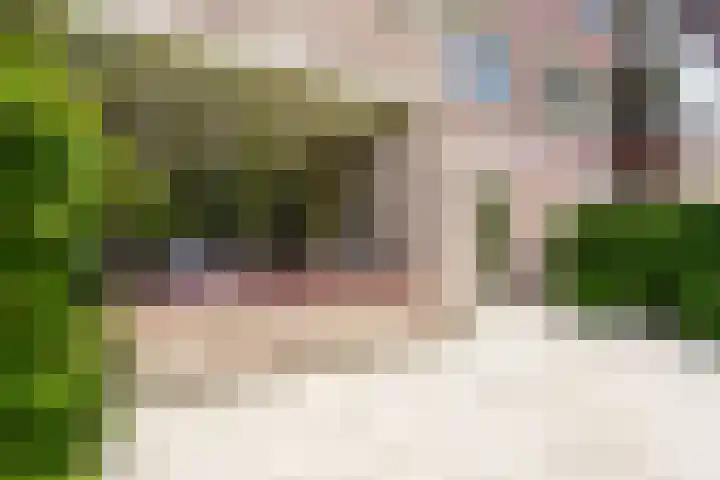 Amazonestroom 10 Zoetermeer thumbnail 18