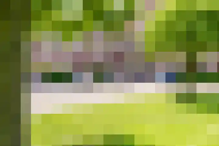 Amazonestroom 10 Zoetermeer thumbnail 22