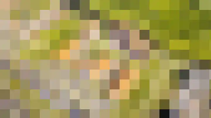 Amazonestroom 10 Zoetermeer thumbnail 26