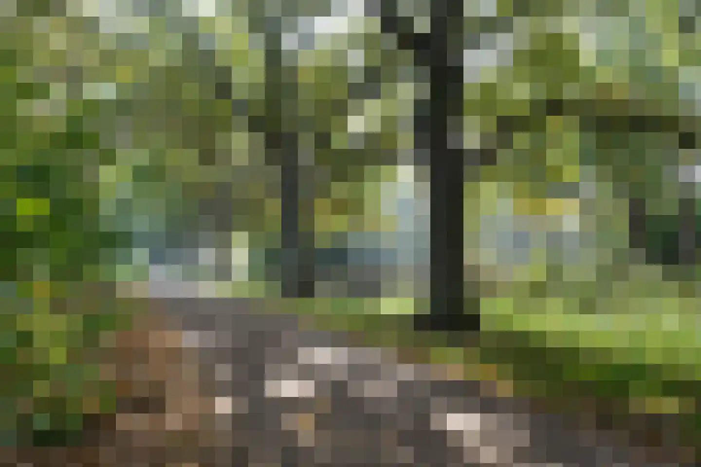 Ambachtenlaan 131 Breda thumbnail 39