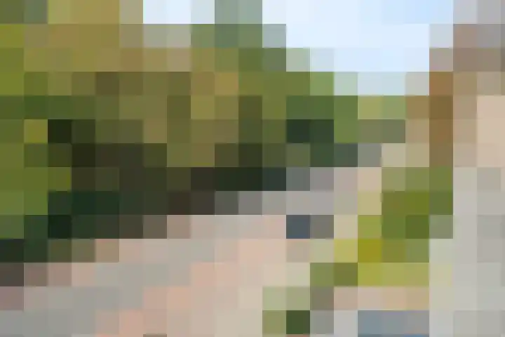 Ambachtenlaan 133 Breda thumbnail 31