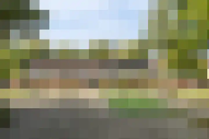 Ambachtenlaan 133 Breda thumbnail 43