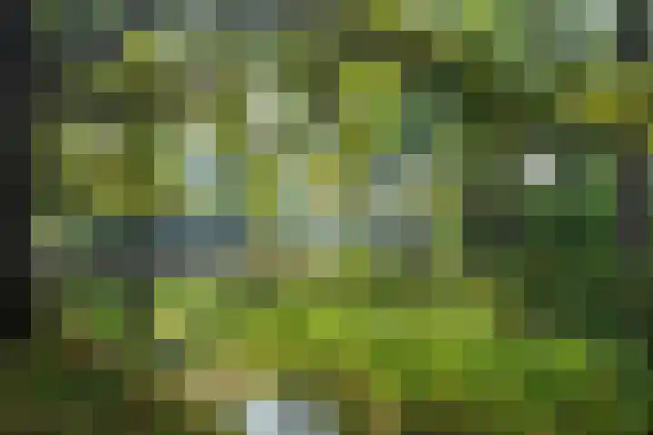 Ambachtenlaan 133 Breda thumbnail 44