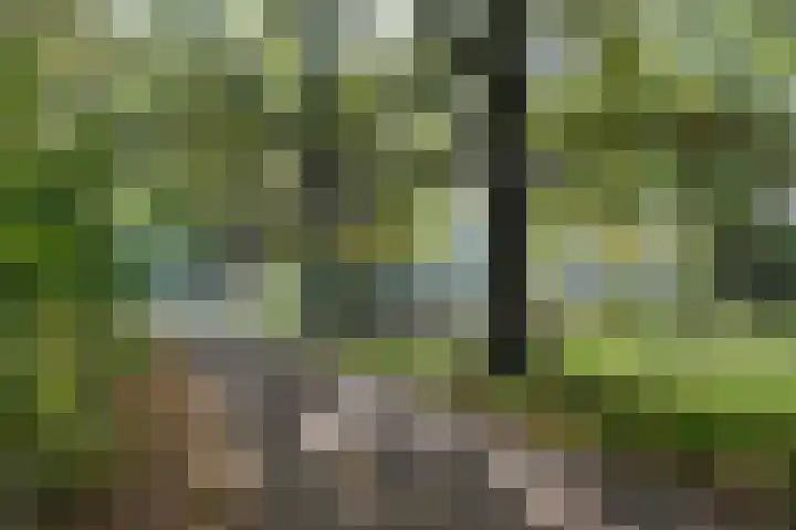 Ambachtenlaan 133 Breda thumbnail 45