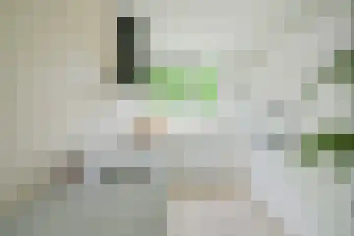 Ambachtenlaan 157 Breda thumbnail 19