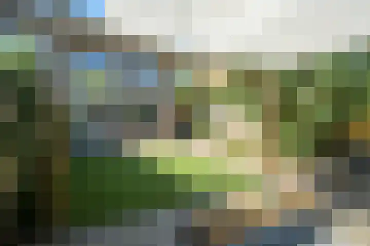 Ambachtenlaan 157 Breda thumbnail 31