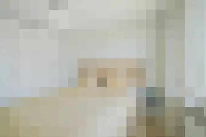 Ambachtenlaan 157 Breda thumbnail 36