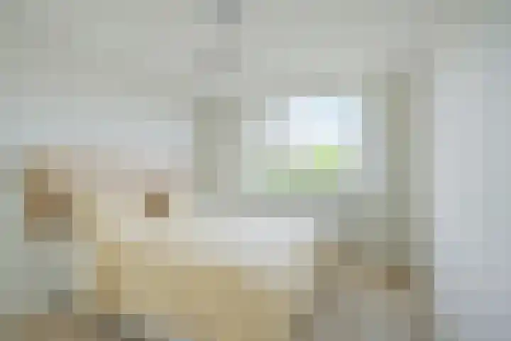 Ambachtenlaan 157 Breda thumbnail 37