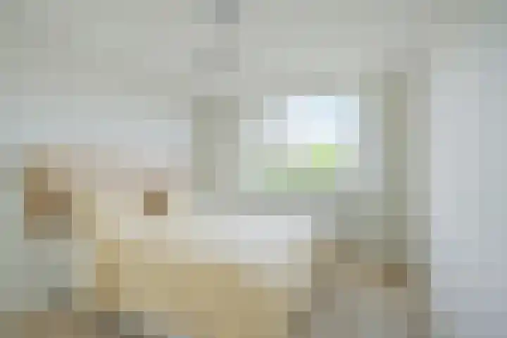 Ambachtenlaan 157 Breda thumbnail 4