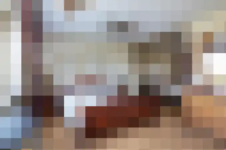 Ambachtenlaan 46 Breda thumbnail 23