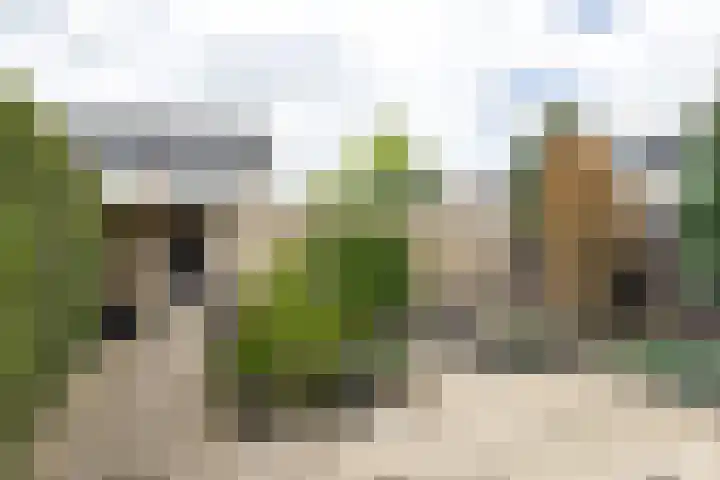 Ambachtenlaan 46 Breda thumbnail 32