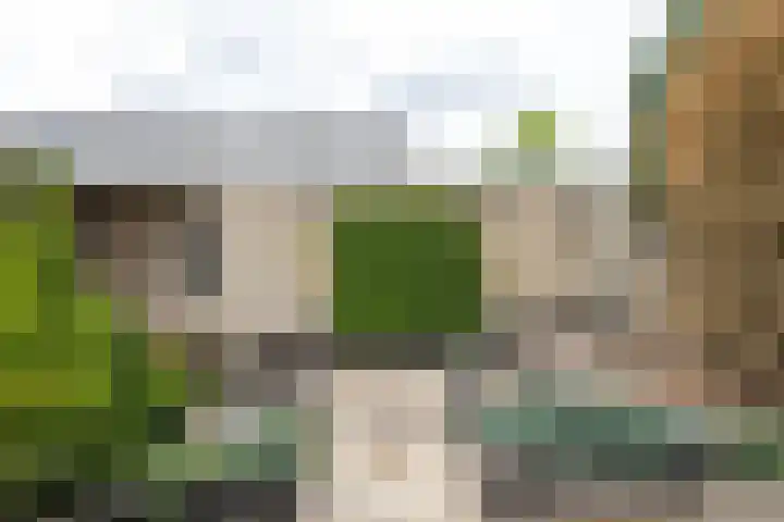 Ambachtenlaan 46 Breda thumbnail 34