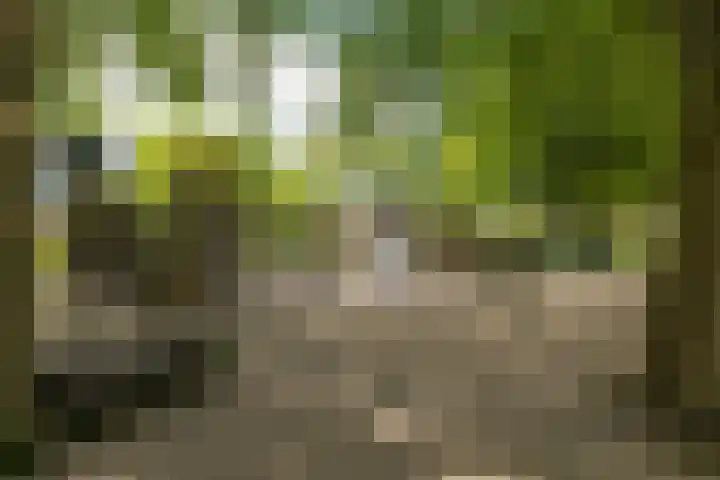 Ambachtenlaan 46 Breda thumbnail 41