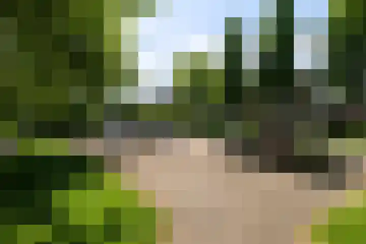 Ambachtenlaan 46 Breda thumbnail 42
