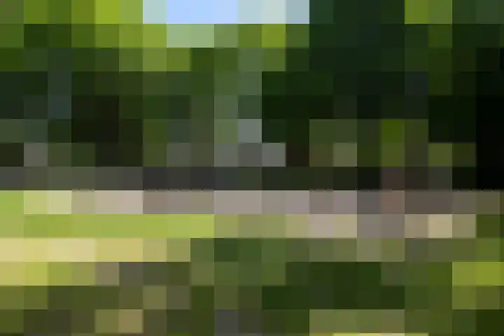 Ambachtenlaan 46 Breda thumbnail 43