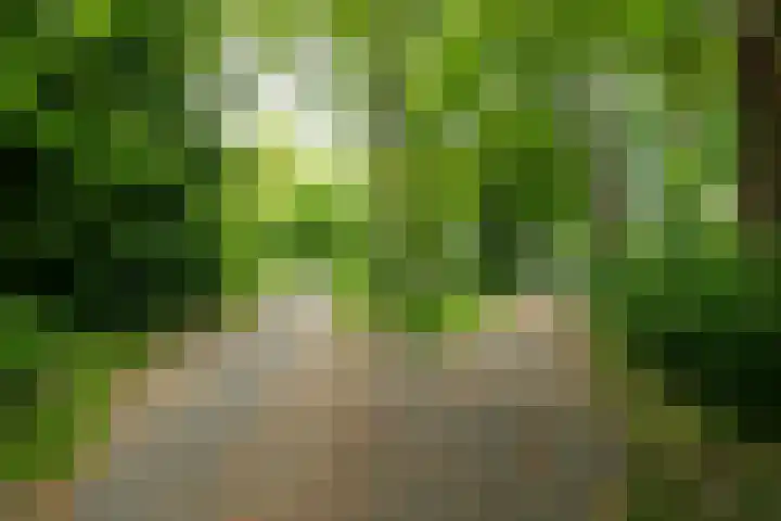 Ambachtenlaan 46 Breda thumbnail 44