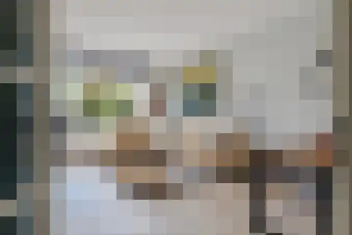 Ambachtenlaan 51 Breda thumbnail 10