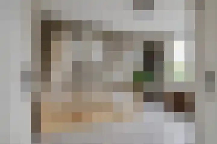 Ambachtenlaan 51 Breda thumbnail 25