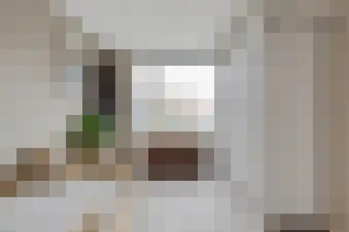 Ambachtenlaan 51 Breda thumbnail 26