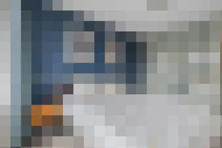 Ambachtenlaan 51 Breda thumbnail 30