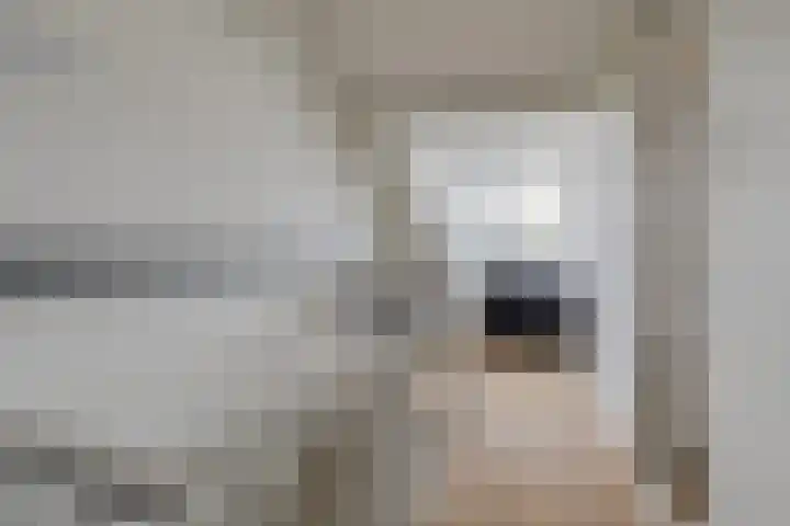 Ambachtenlaan 51 Breda thumbnail 39