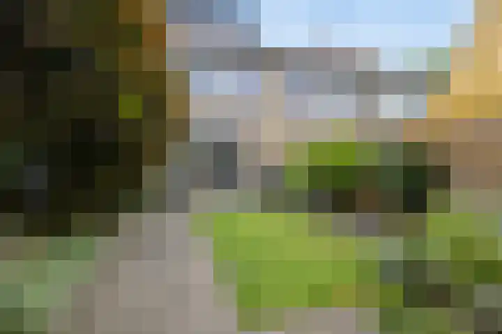 Ambachtenlaan 51 Breda thumbnail 48