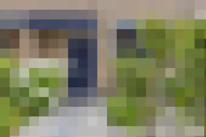 Ambachtenlaan 51 Breda thumbnail 6