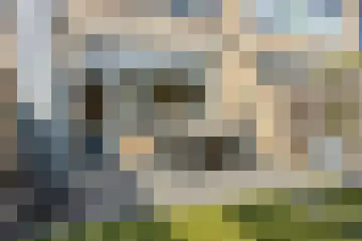 Ambachtenlaan 53 Breda thumbnail 16