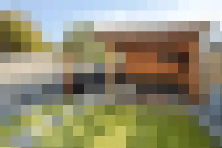 Ambachtenlaan 53 Breda thumbnail 17