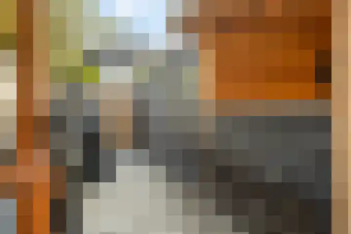 Ambachtenlaan 53 Breda thumbnail 19