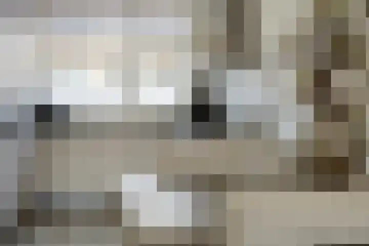 Ambachtenlaan 53 Breda thumbnail 4