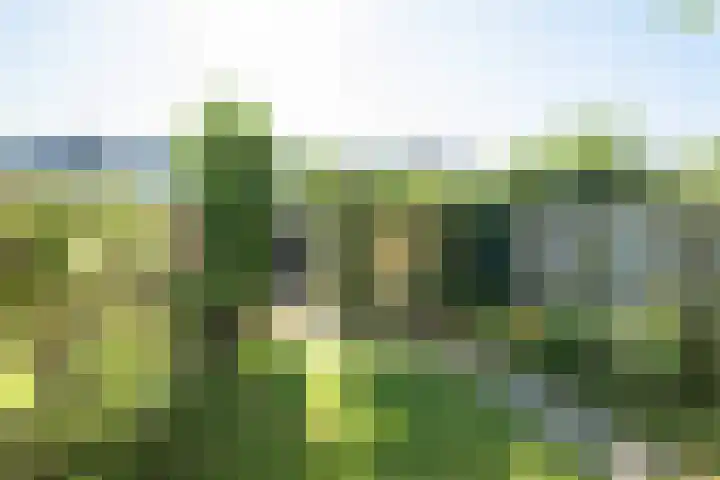 Ambachtenlaan 57 Breda thumbnail 24