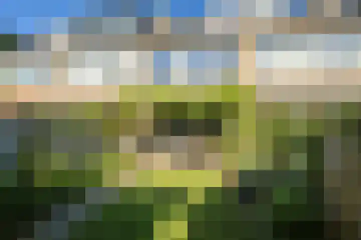 Ambachtenlaan 57 Breda thumbnail 28