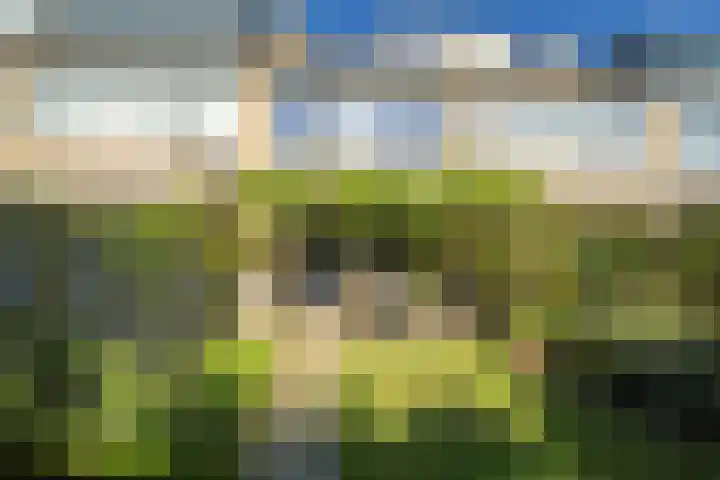 Ambachtenlaan 57 Breda thumbnail 30