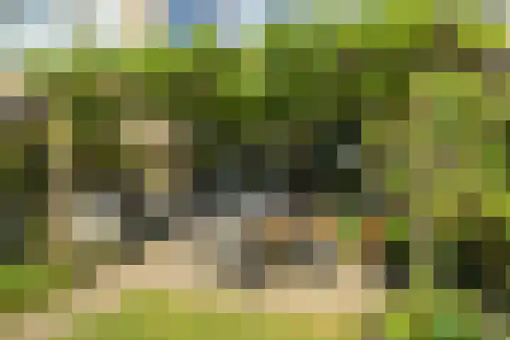 Ambachtenlaan 57 Breda thumbnail 31