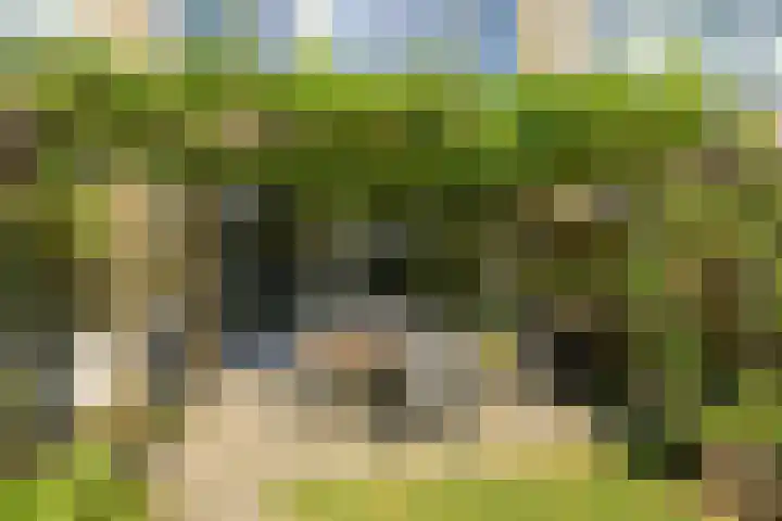 Ambachtenlaan 57 Breda thumbnail 32