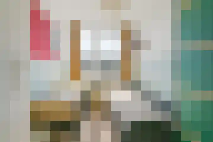 Ambachtenlaan 57 Breda thumbnail 39