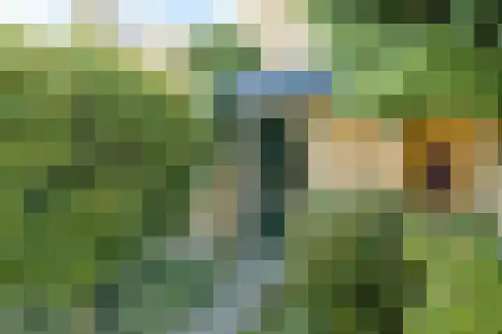 Ambachtenlaan 57 Breda thumbnail 7