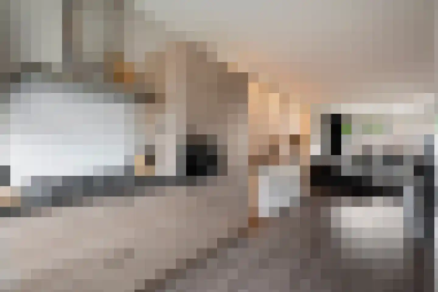 Ambachtenlaan 65 Breda thumbnail 18