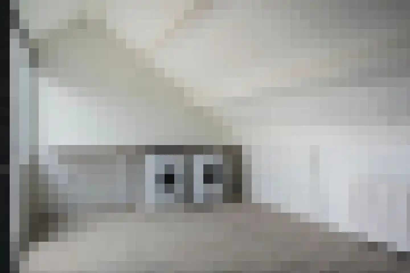 Ambachtenlaan 65 Breda thumbnail 31